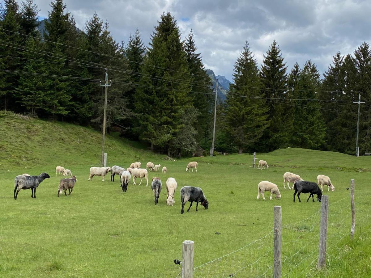 Ferienwohnung Alma Pflach Buitenkant foto