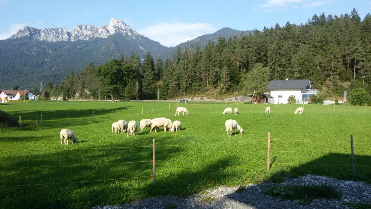Ferienwohnung Alma Pflach Buitenkant foto